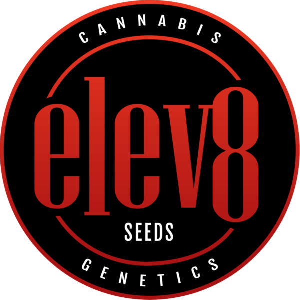 Purple Cherry Ripple 3 ud. fem Elev8 Seeds