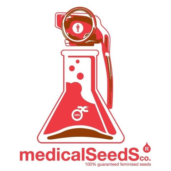 OG Kush CBD  5 u. fem. Medical Seeds
