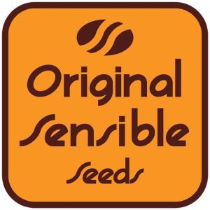 Zkittlzy Gorilla  1 u. fem. Original Sensible
