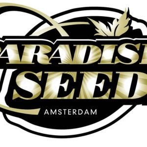 Acid  3 u. fem. Paradise Seeds