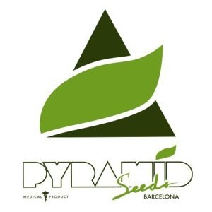 Alpujarre?a  1 u. Blister x 12 u. fem. Pyramid Seeds