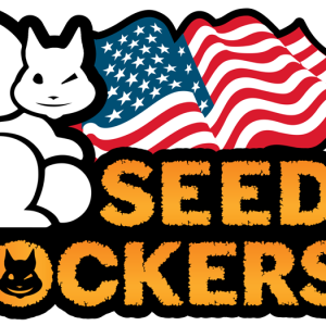 AK420 fem.  1 u. Seedstockers