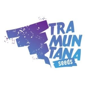 Apple Mints  3 u. fem. Tramuntana Seeds